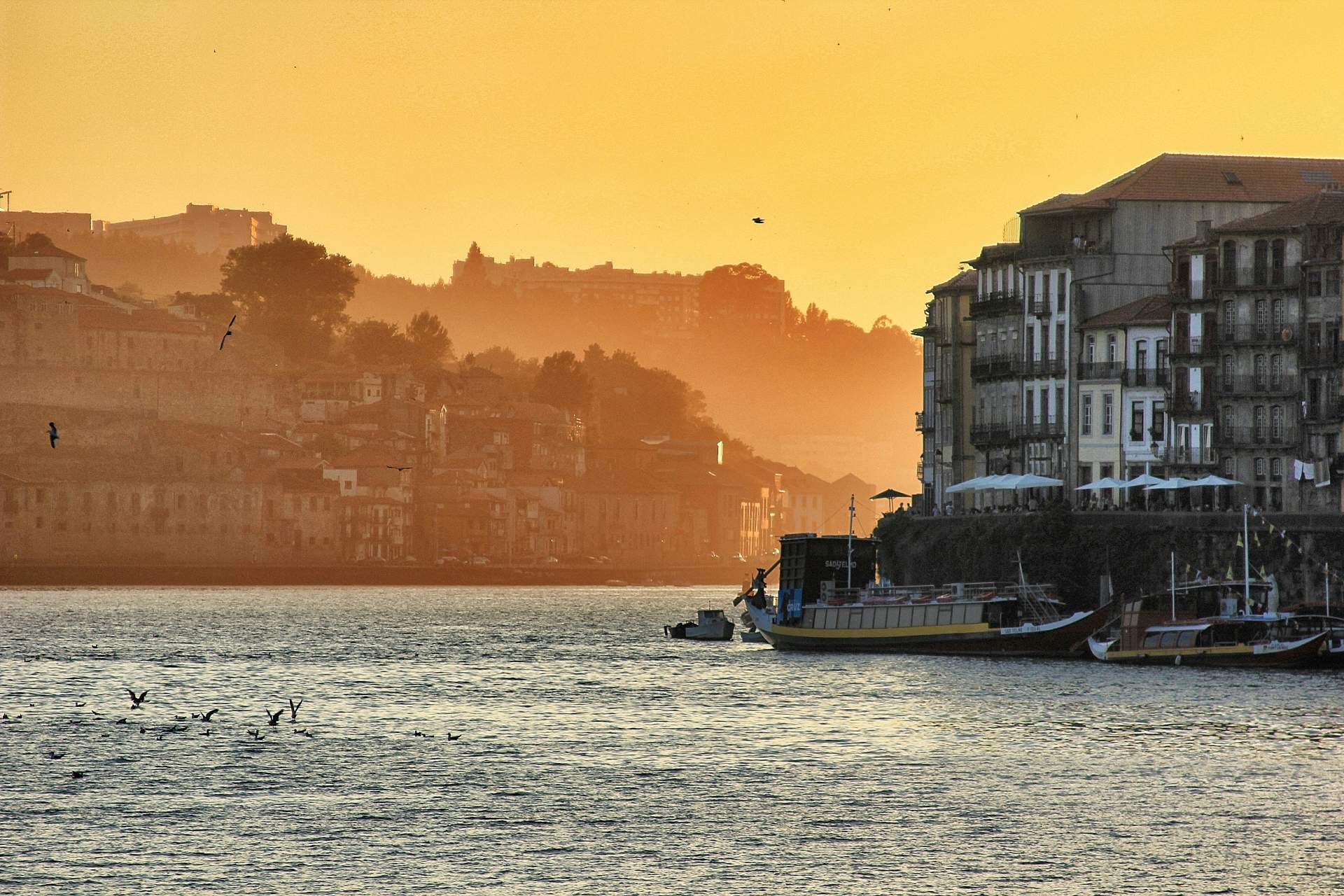 Portugal Golden Visa for US citizens editorial image 1